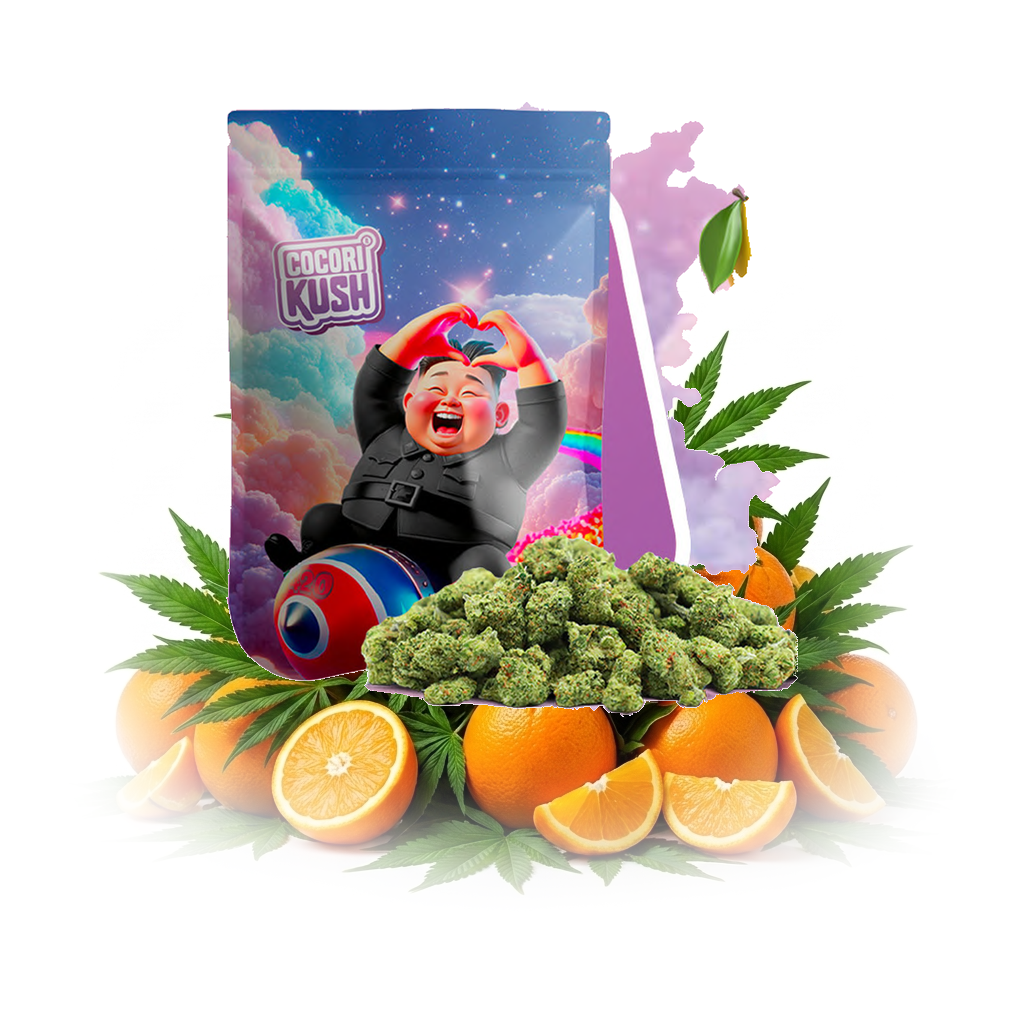 COCORI KUSH HEC-10 Blüten Kim Jung Kush