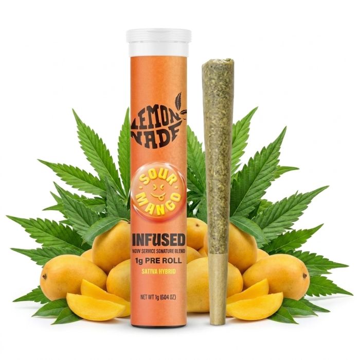 Cookies Infused Pre-Roll Sour Mango fertig gerollt in Verpackung
