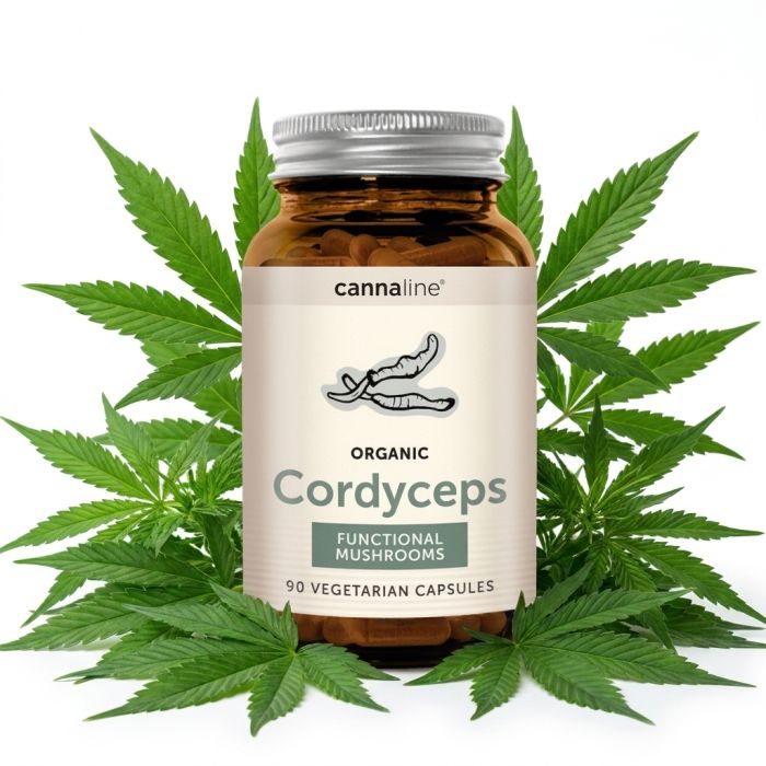 Cannaline Cordyceps Functional Mushrooms Kapseln Dose