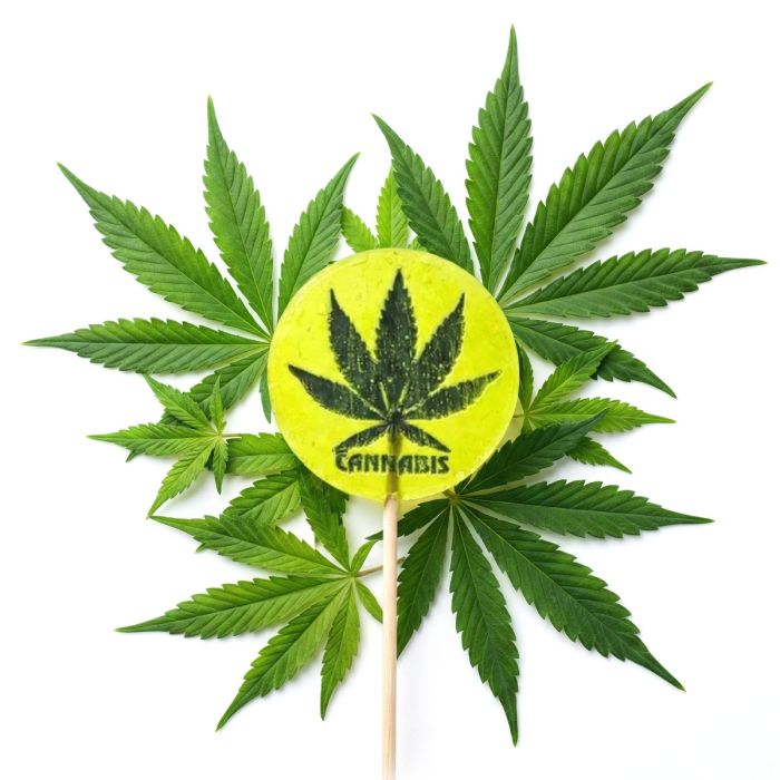 Euphoria Cannabis Giga Lollipop XXL-Lutscher mit echtem Hanfaroma