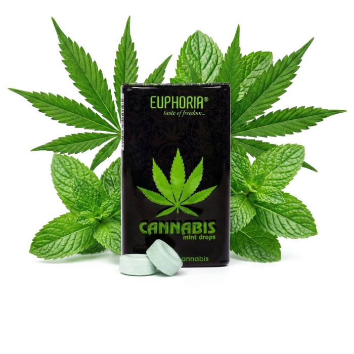 Euphoria Cannabis Minz Tropfen in der kompakten Pipettenflasche mit frischen Minzblättern im Hintergrund