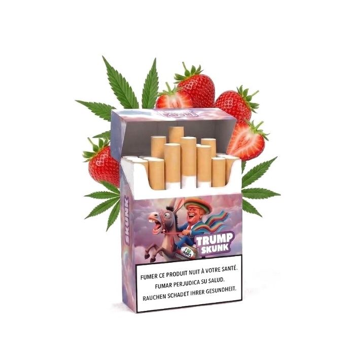 COCORI KUSH HEC-10 Zigaretten Trump Skunk