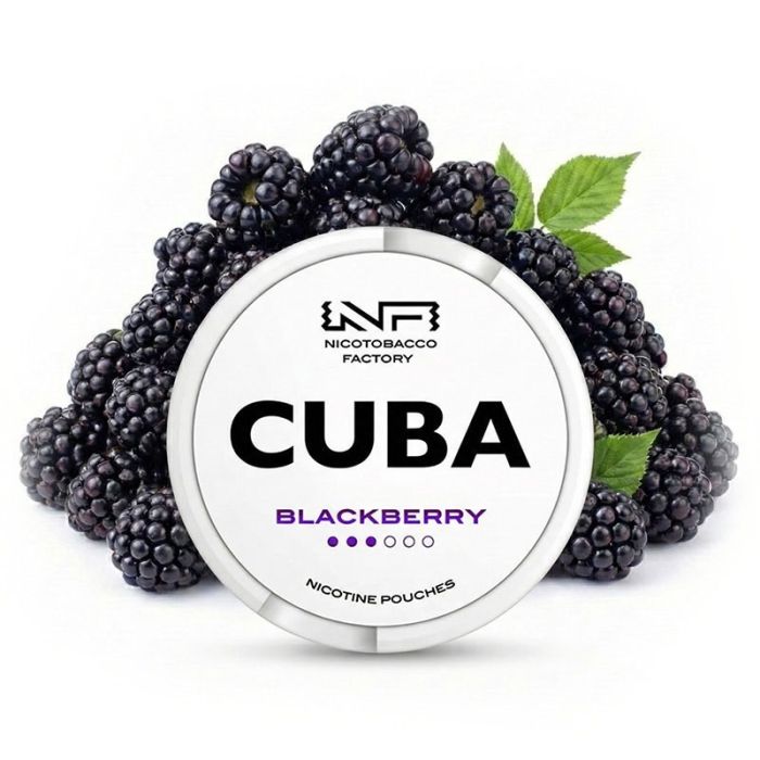 Dose der CUBA Nicotine Pouches Blackberry Medium Snus-Alternative mit Brombeer-Design auf weißem Hintergrund