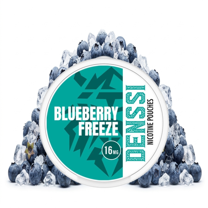 DENSSI Blueberry Freeze Nikotinbeutel im Slim-Format, Blaubeere mit Ice-Burn