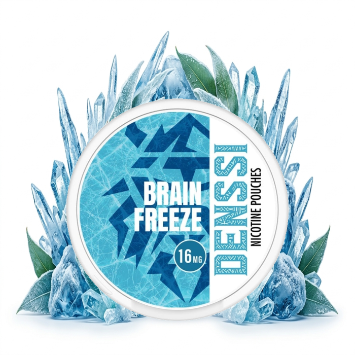DENSSI Brain Freeze Slim Nicotine Pouches mit 16 mg Nikotin pro Beutel
