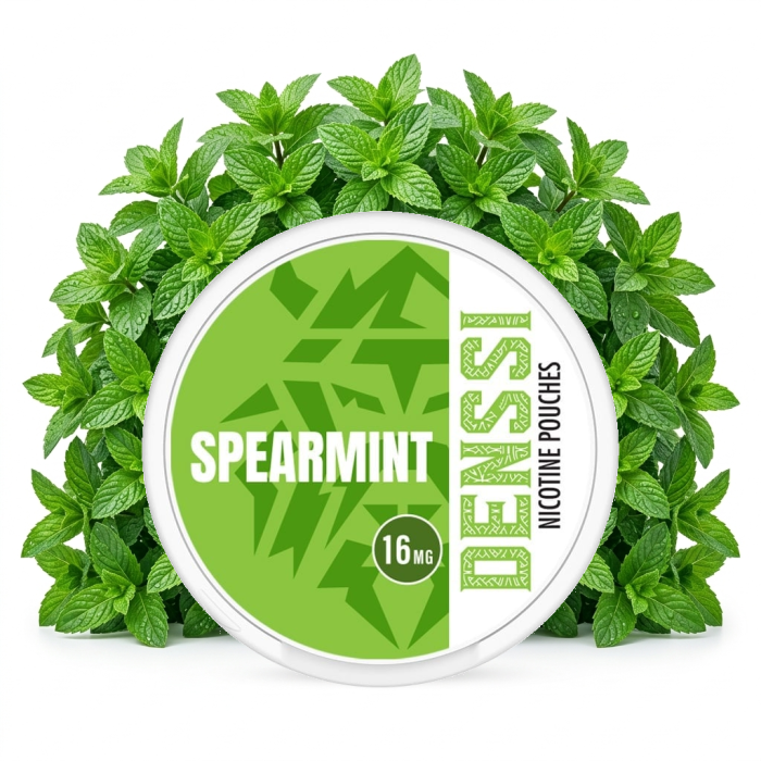 DENSSI Spearmint Nicotine Pouches Slim-Format, geöffnete Dose mit weißen Portionsbeuteln