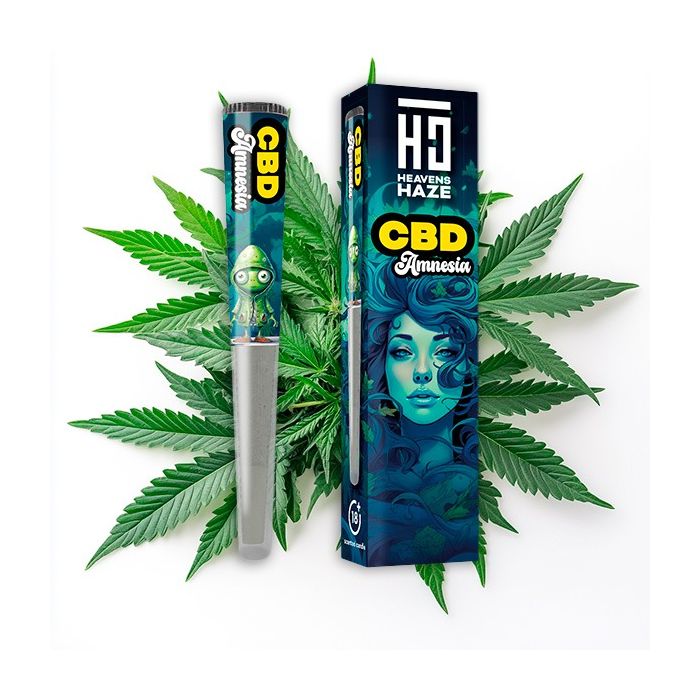 HEAVENS HAZE CBD Amnesia Pre-Rolled Joint fertig gedrehter CBD Joint im schützenden Aromaröhrchen