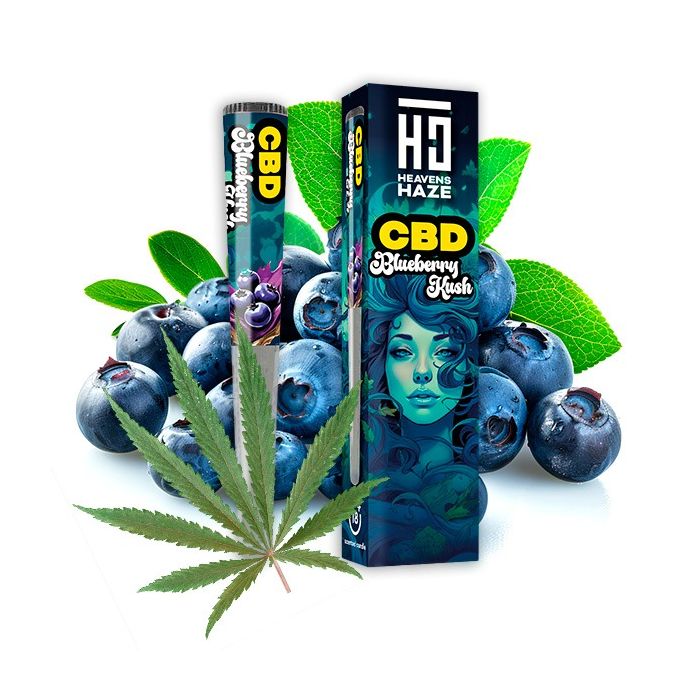 HEAVENS HAZE CBD Blueberry Pre-Rolled Joint in der transparenten Acryl-Schutzhülle