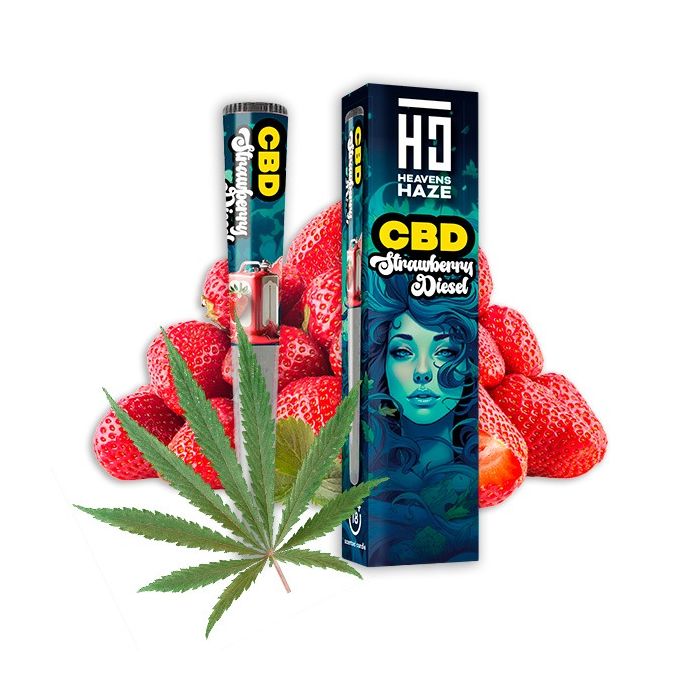 HEAVENS HAZE CBD Strawberry Diesel Pre-Rolled Joint in luftdichter Schutzröhre auf neutralem Hintergrund