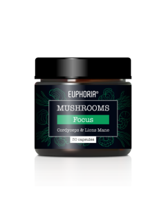 Euphoria Mushrooms Focus Blend Cordyceps & Lions Mane
