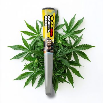HEAVENS HAZE 10-OH-HHC Gorilla Glue Pre-Rolled Joint 