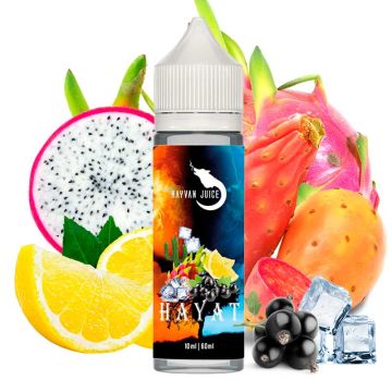 Hayvan Juice Hayat Aroma 