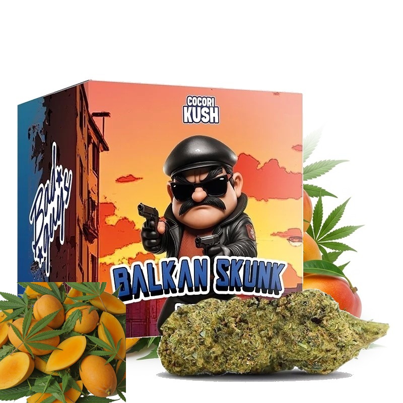COCORI KUSH HEC-10 Blüten Balkan Skunk