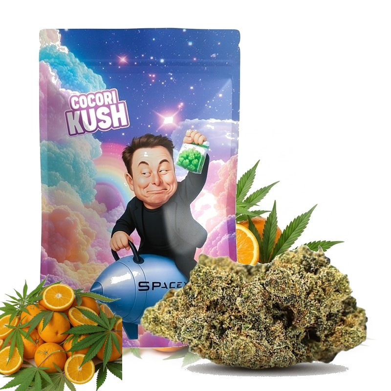COCORI KUSH HEC-10 Blüten Elon Dream