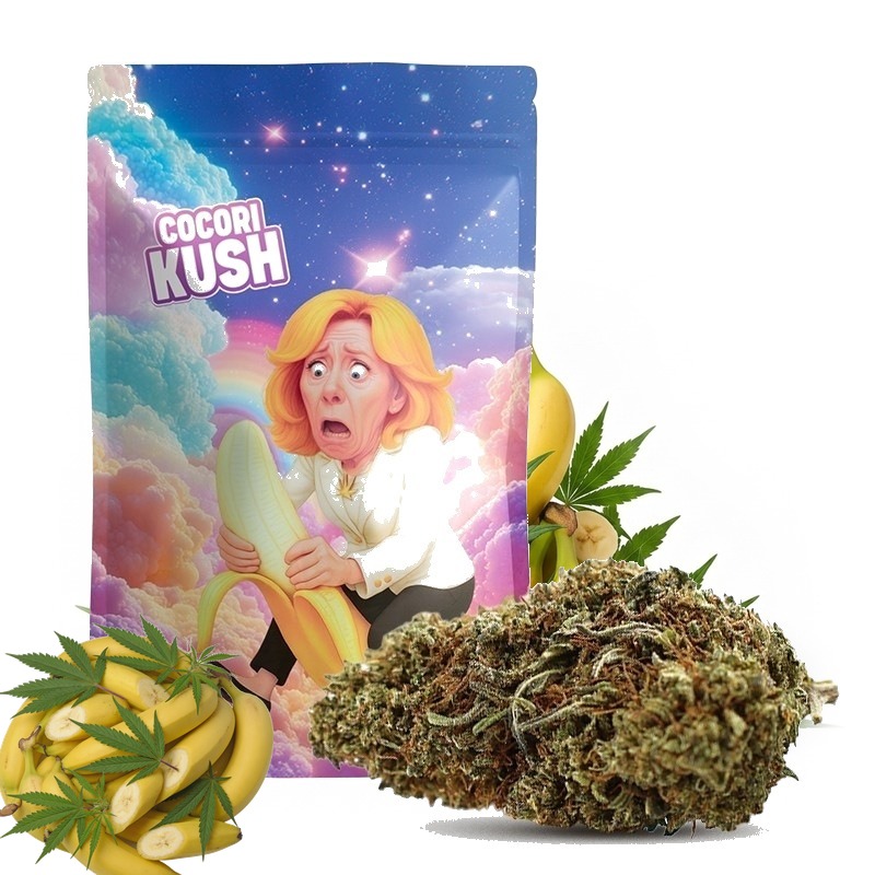 COCORI KUSH HEC-10 Blüten Lady Banana