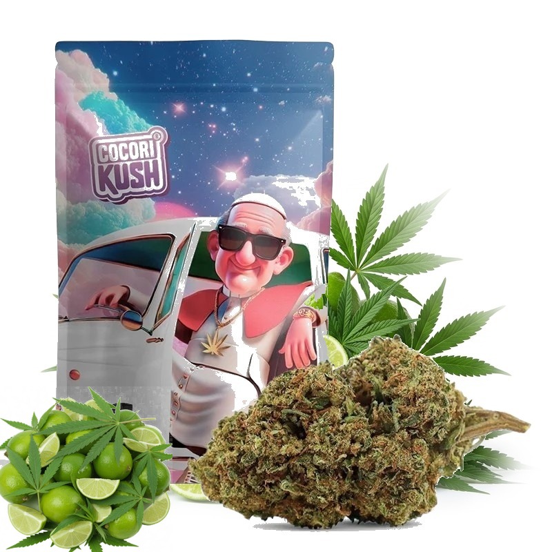 COCORI KUSH HEC-10 Blüten Pope Daddy