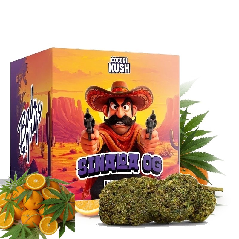 COCORI KUSH HEC-10 Blüten Sinaloa OG