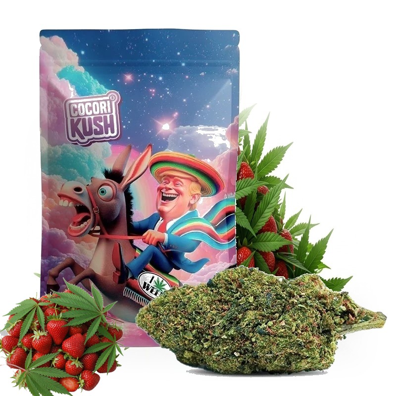 COCORI KUSH HEC-10 Blüten Trump Skunk