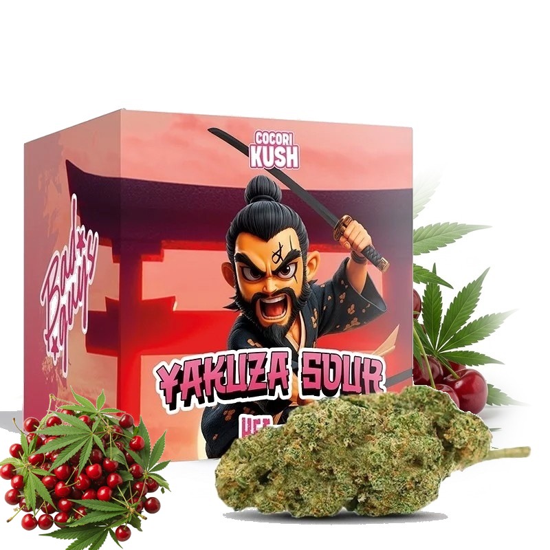 COCORI KUSH HEC-10 Blüten Yakuza Sour