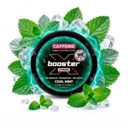 X-Booster Cool Mint.jpg