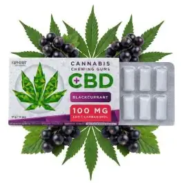 Euphoria CBD Chewing Gum Blackcurrant Verpackung mit Hanfblatt-Motiv und schwarzen Johannisbeeren