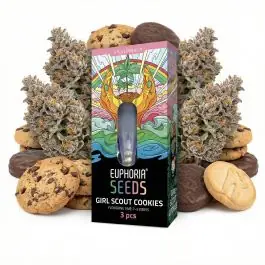 Euphoria GSC Autoflower-Hanfsamen in Nahaufnahme mit keimenden Hanfsamen auf sterilem Untergrund