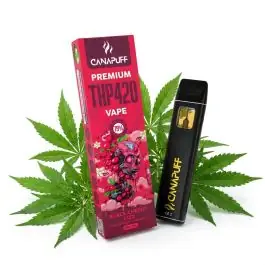 prod_black-cherry-fizz-79-thp420-canapuff-einweg-1ml.jpg