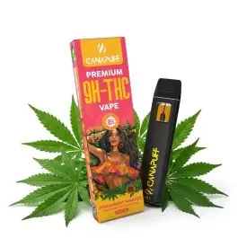 prod_permanent-marker-95-9h-thc-canapuff-einweg-1ml.jpg
