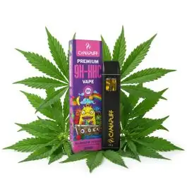 prod_rainbow-runtz-95-10-oh-hhc-canapuff-einweg-1ml.jpg