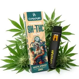 prod_white-widow-10-oh-thc-canapuff-one-use-1ml-kaufen.jpg