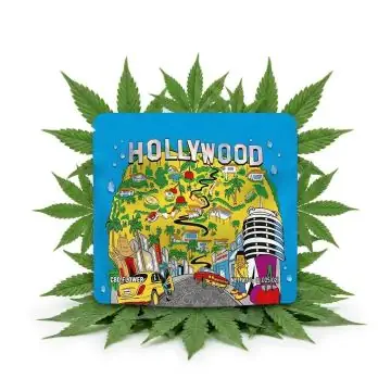 Cookies CBD Flower Hollywood 1g