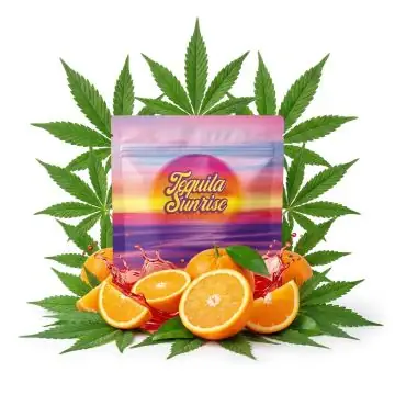 Cookies CBD Flower Tequila Sunrise 1g