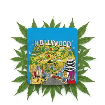 Cookies CBD Flower Hollywood 3.5g