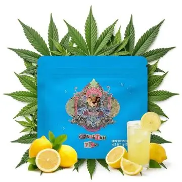 Cookies Infused Flower Cheetah Piss 1g