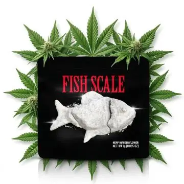 Cookies Infused Flower Fish Scale 1g