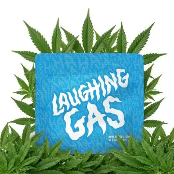 Cookies Infused Flower Laughing Gas 1g
