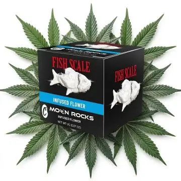 Cookies Infused Moon Rocks 2g