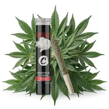 Cookies Infused Pre-Roll Fish Scale 1g