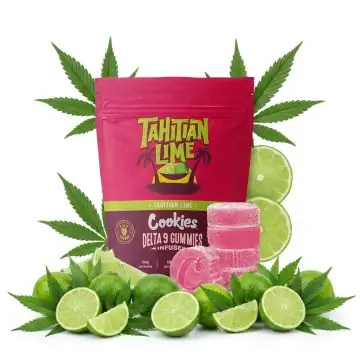 Cookies THC Gummies Tahitian Lime Tüte mit fruchtigen Limetten-Gummis