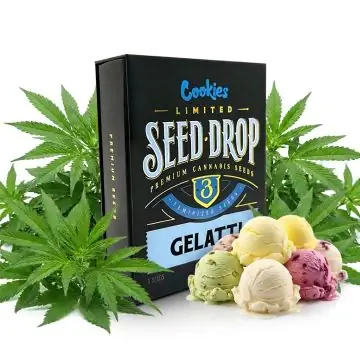 Cookies Seeds Gelatti 3 Seeds