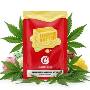 Cookies Seeds Triple Scoop x Berniehana Butter 6 Seeds