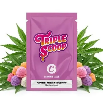 Cookies Seeds Permanent Marker x Triple Scoop 6 Seeds