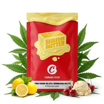 Cookies Seeds Lemon Cherry Gelato x Berniehana Butter 6 Seeds