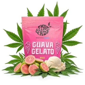Cookies Infused Flower Guava Gelato