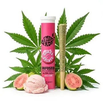 Cookies Infused Pre-Roll Guava Gelato
