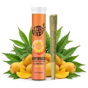 Cookies Infused Pre-Roll Sour Mango