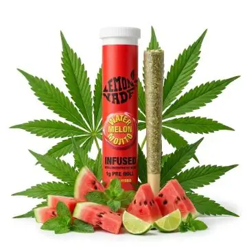 Cookies Infused Pre-Roll Watermelon Mojito