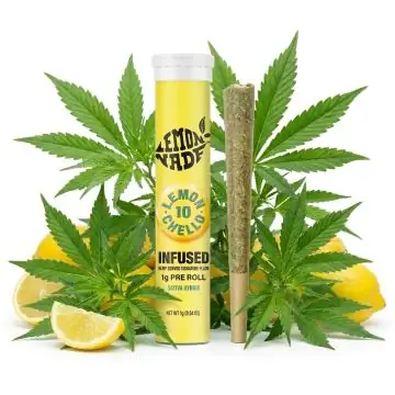 Cookies Infused Pre-Roll Lemonchello 10