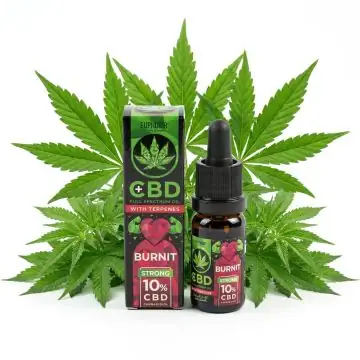 Euphoria 10% CBD Öl mit Terpenen Burnit in 10ml Glasflasche mit Tropfpipette
