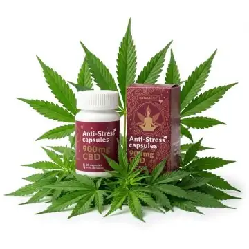 Cannaline Anti-Stress Capsules Dose mit 900 mg CBD